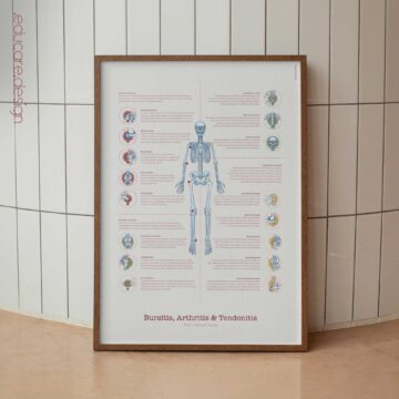 Foot, Knee and Hand Anatomy Set anatomy chart for clinics Foot, Knee and Hand Anatomy Set anatomy chart for clinics